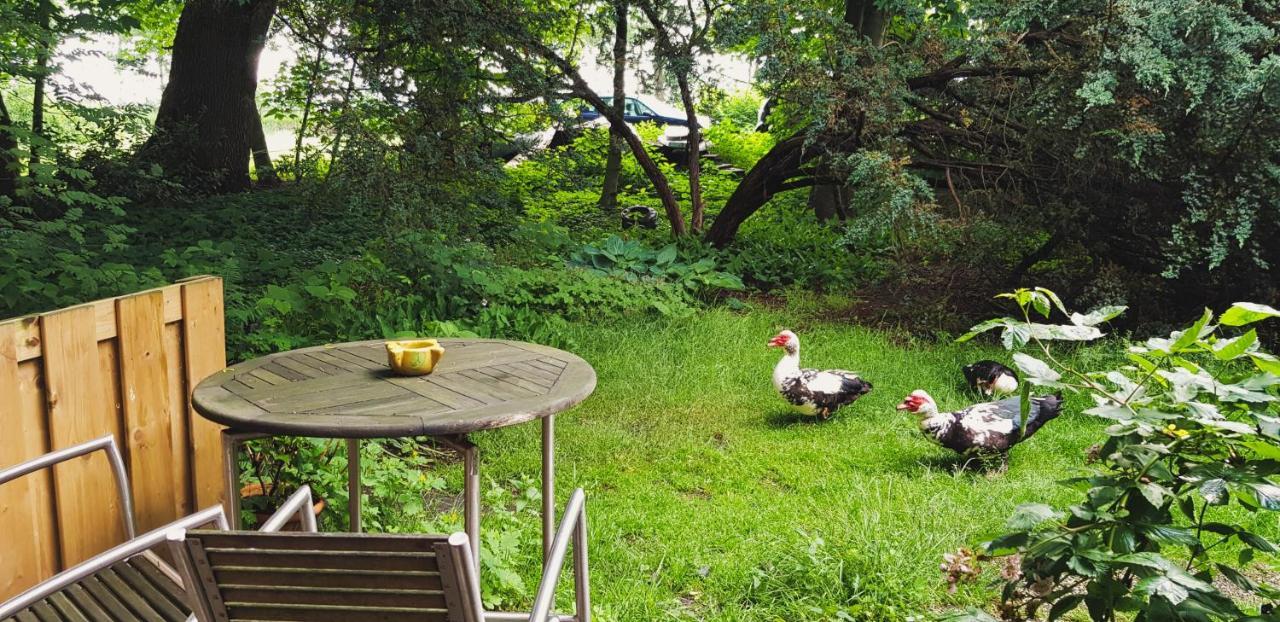 Rust En Stilte In De Natuur Onstwedde 外观 照片