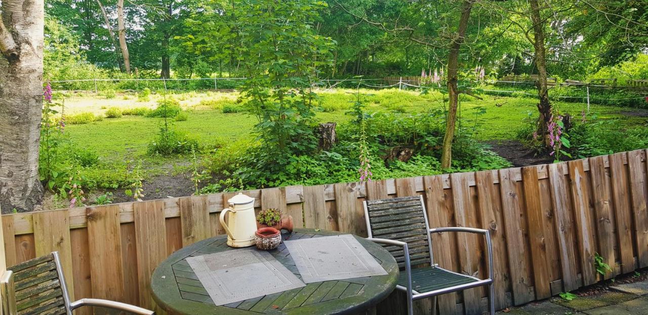 Rust En Stilte In De Natuur Onstwedde 外观 照片