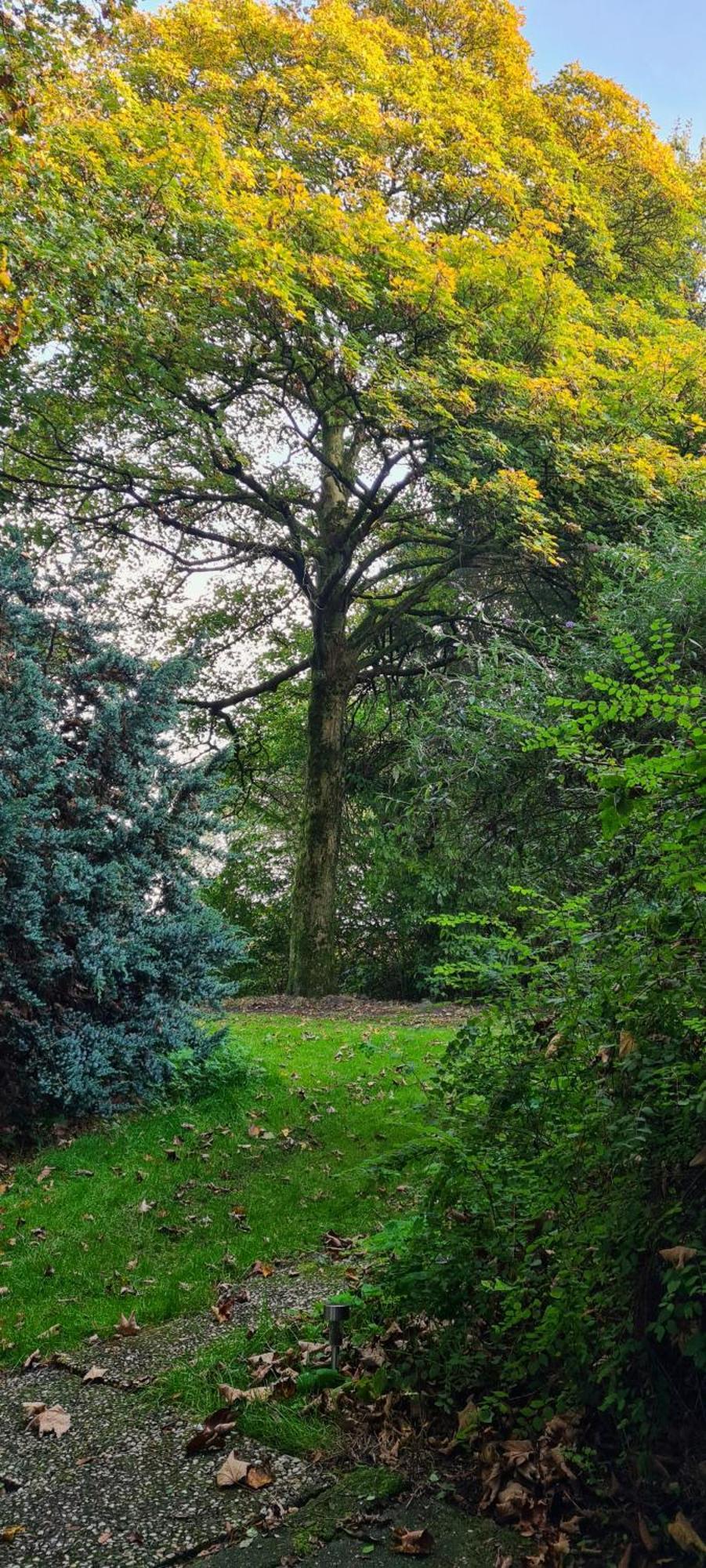 Rust En Stilte In De Natuur Onstwedde 外观 照片